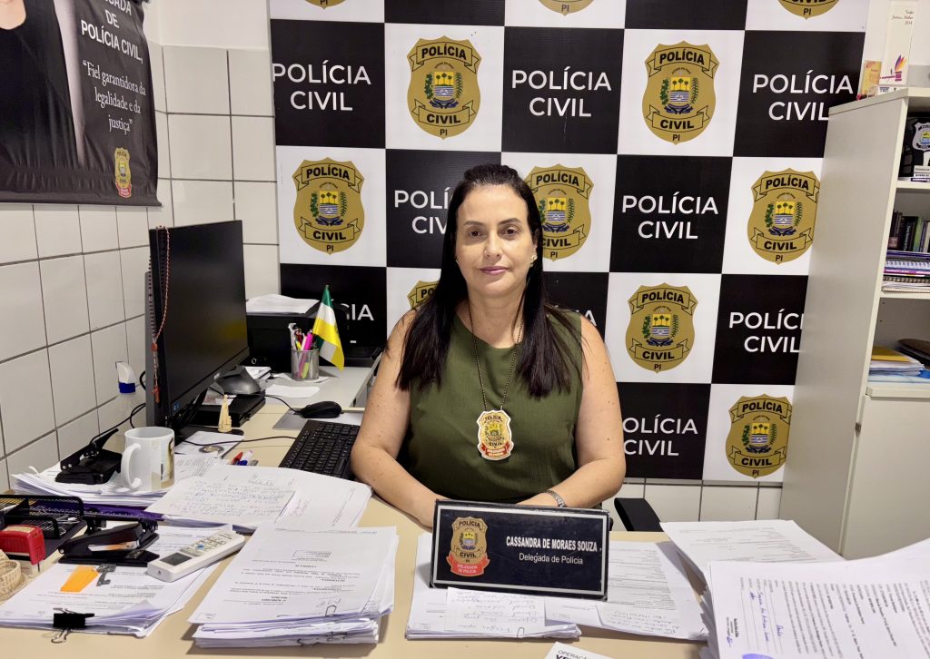 Delegada Cassandra Moraes Sousa / Foto: Ascom SSP-PI