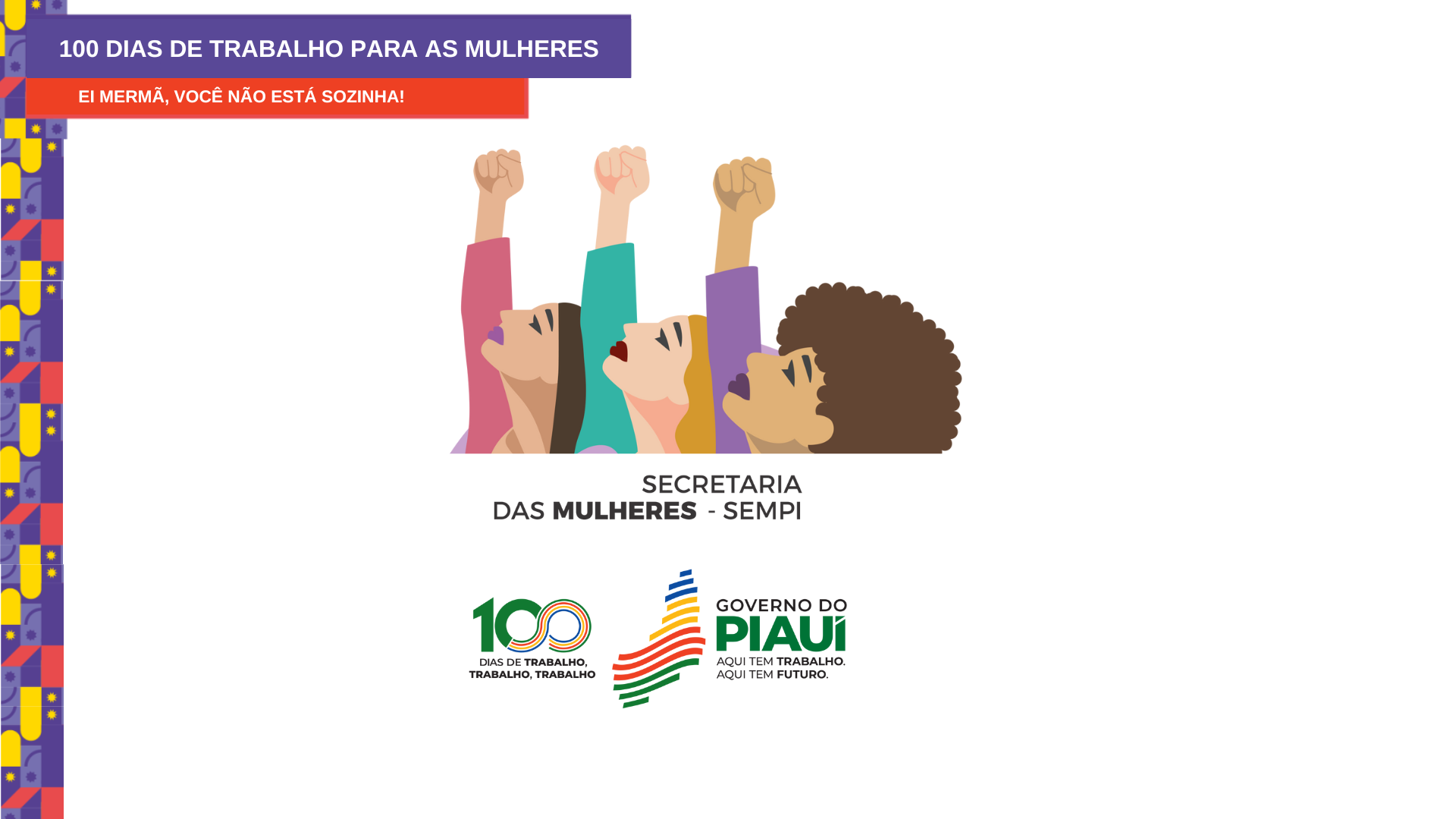 Em 100 Dias de Governo, Rafael Fonteles, intensifica ações de proteção ...