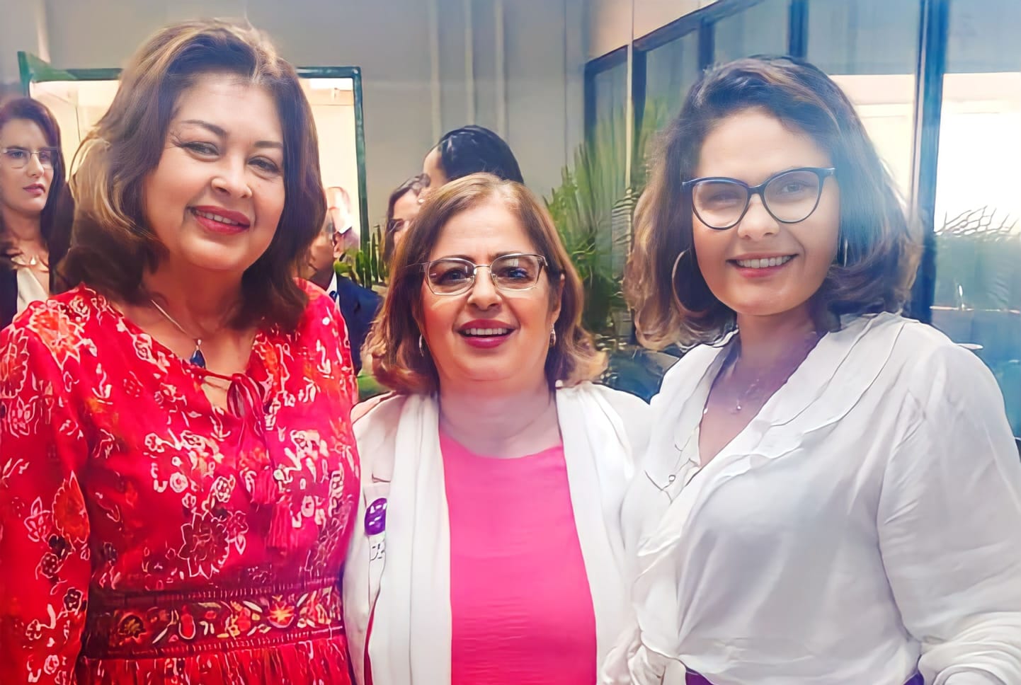 Secretária de Estado das Mulheres do Piauí participa de reunião ...