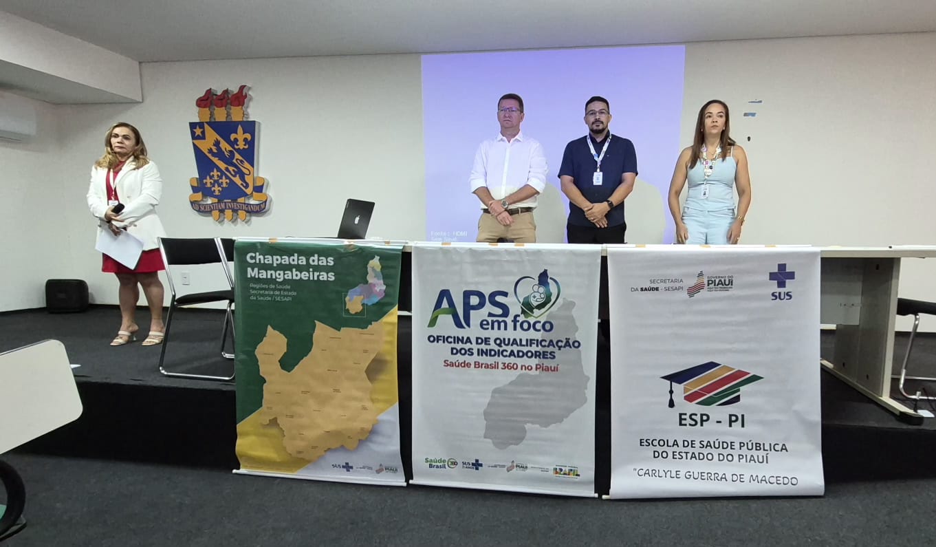 Indicadores Saúde Brasil 360 no Piauí: Sesapi treina equipes em Bom Jesus