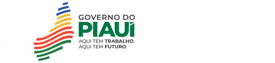 Governo Do Piauí